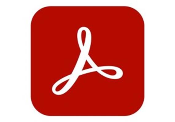 Adobe Acrobat Standard for Teams Government 1Jahr