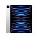 Apple iPad Pro 12.9" Wi-Fi + Cellular 6. Gen 512GB