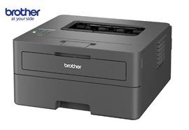 Brother Drucker HL-L2445DW