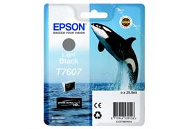 DKP Epson T7607 Tinte Light Black C13T76074010