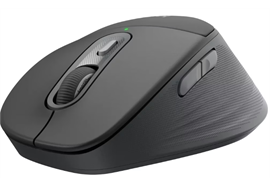 Logitech M850 L for Business