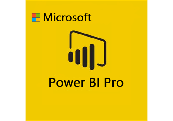 Microsoft Power BI Pro Abo 1 Jahr (NCE)