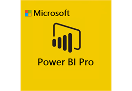 Microsoft Power BI Pro Abo 1 Jahr (NCE)