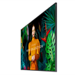 Samsung Public Display QM65C 65" | Bild 3