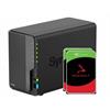 Synology DiskStation DS224+ 2-Bay 2x 2TB HDD